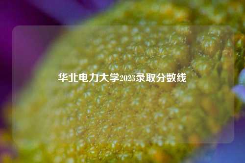 华北电力大学2023录取分数线
