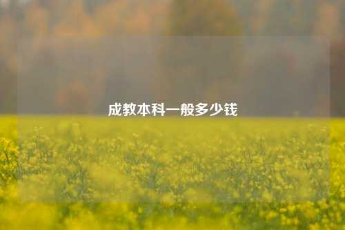 成教本科一般多少钱