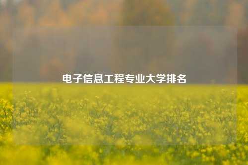 电子信息工程专业大学排名