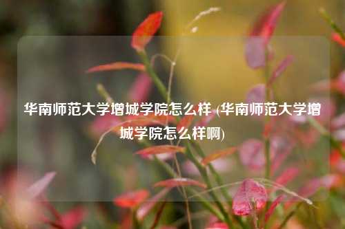 华南师范大学增城学院怎么样 (华南师范大学增城学院怎么样啊)