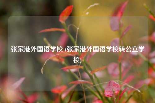 张家港外国语学校 (张家港外国语学校转公立学校)