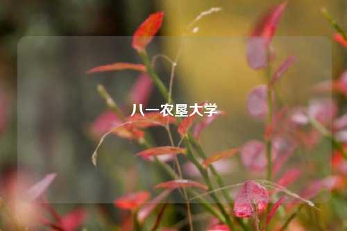 八一农垦大学