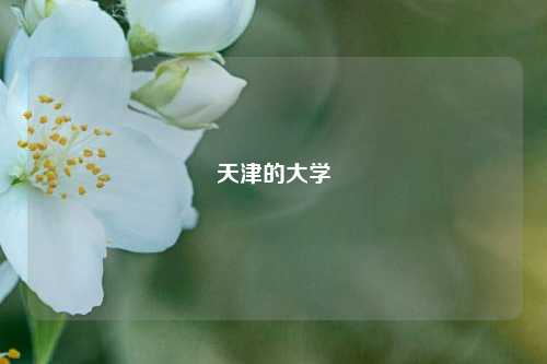 天津的大学
