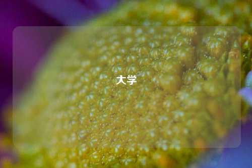 大学