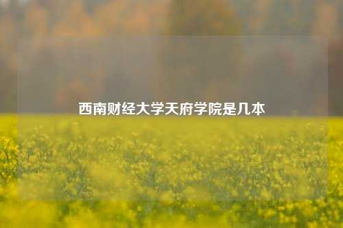 西南财经大学天府学院是几本