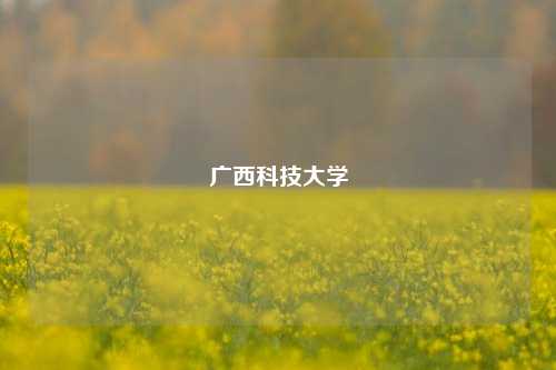 广西科技大学