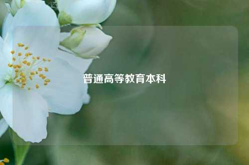普通高等教育本科