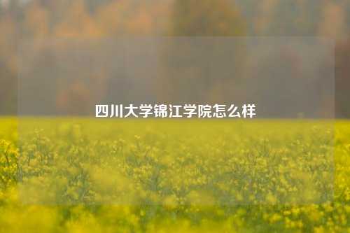 四川大学锦江学院怎么样
