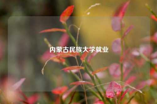 内蒙古民族大学就业