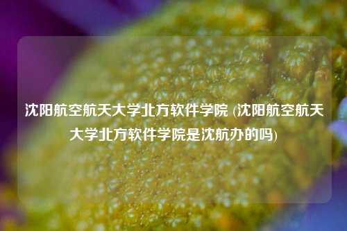 沈阳航空航天大学北方软件学院 (沈阳航空航天大学北方软件学院是沈航办的吗)