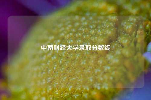 中南财经大学录取分数线