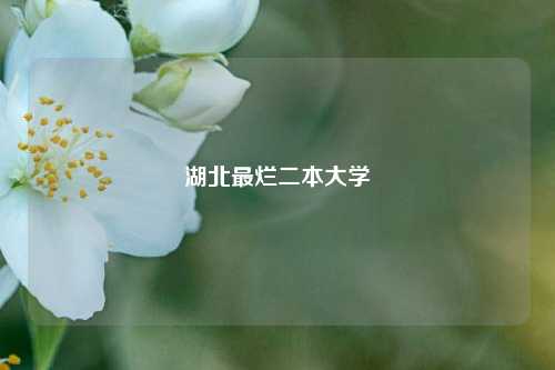 湖北最烂二本大学