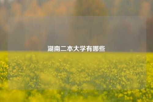 湖南二本大学有哪些