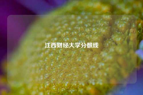 江西财经大学分数线