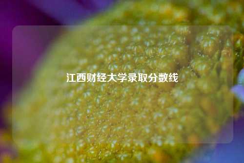 江西财经大学录取分数线