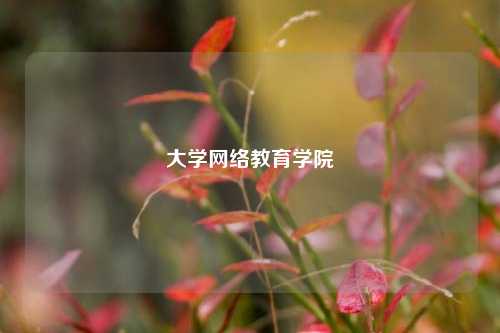 大学网络教育学院