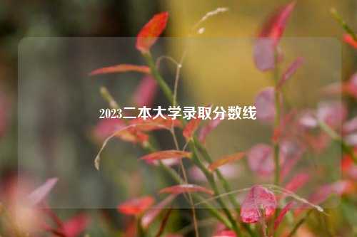2023二本大学录取分数线