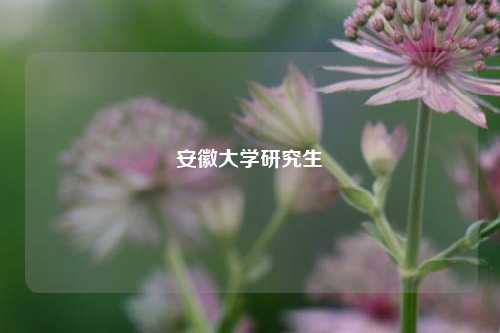 安徽大学研究生