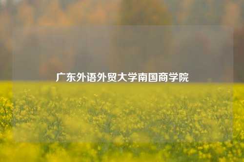 广东外语外贸大学南国商学院