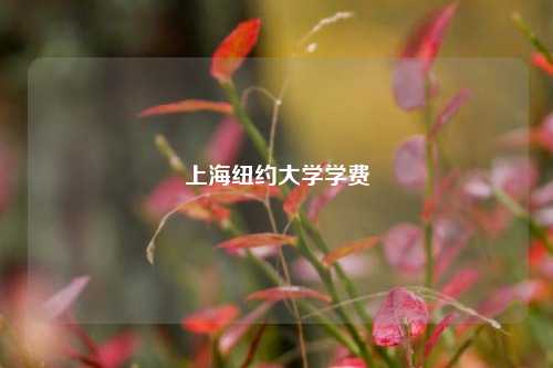 上海纽约大学学费
