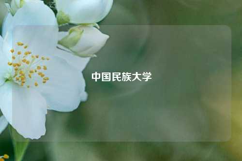 中国民族大学