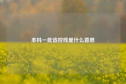 本科一批省控线是什么意思