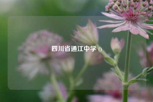 四川省通江中学 ()