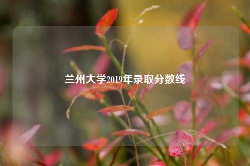 兰州大学2019年录取分数线