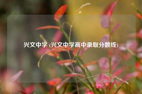 兴文中学 (兴文中学高中录取分数线)