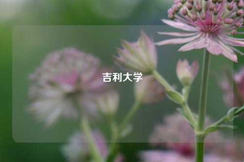 吉利大学