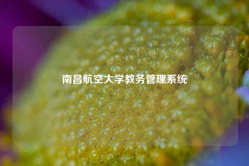 南昌航空大学教务管理系统