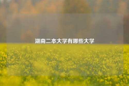 湖南二本大学有哪些大学