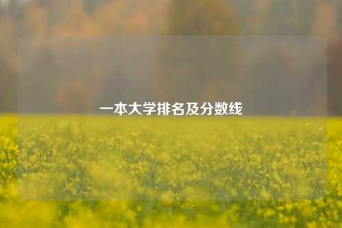 一本大学排名及分数线
