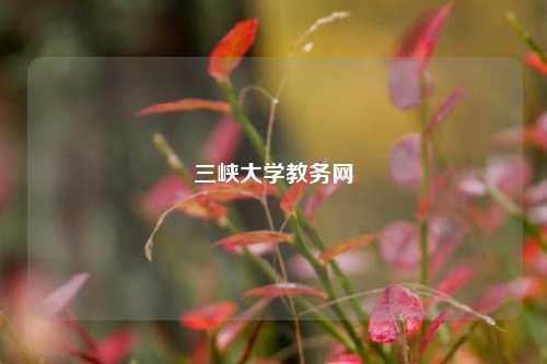 三峡大学教务网