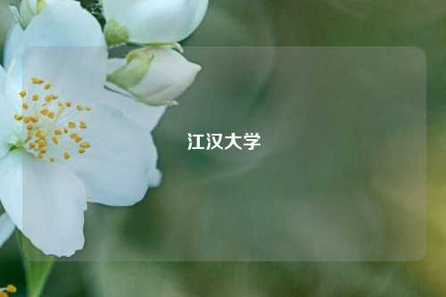 江汉大学