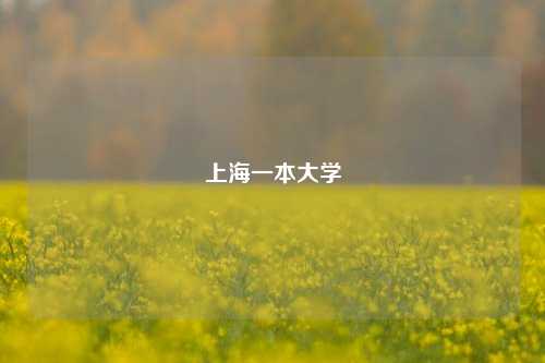 上海一本大学