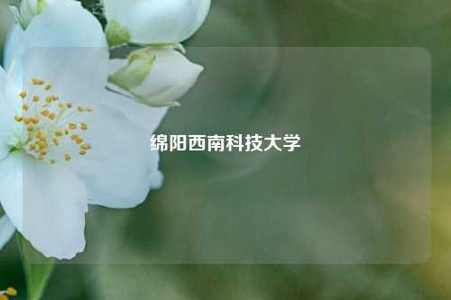 绵阳西南科技大学