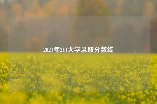 2021年211大学录取分数线