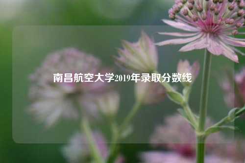 南昌航空大学2019年录取分数线