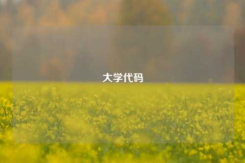 大学代码