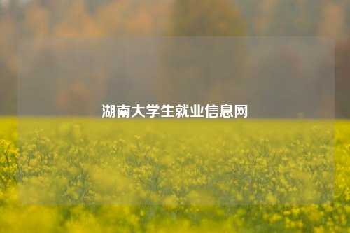 湖南大学生就业信息网