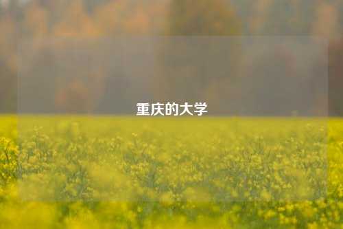 重庆的大学