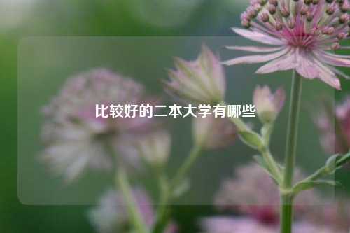 比较好的二本大学有哪些