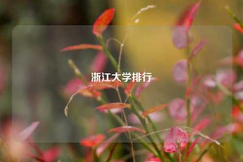 浙江大学排行