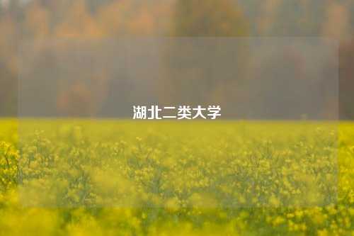 湖北二类大学