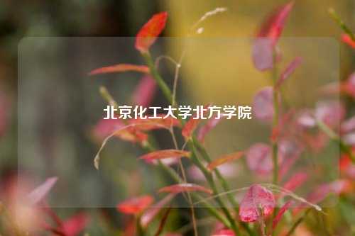 北京化工大学北方学院