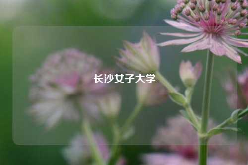 长沙女子大学