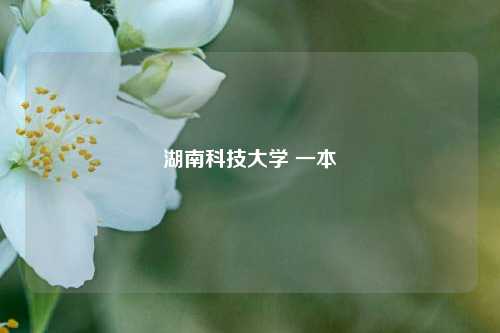湖南科技大学 一本