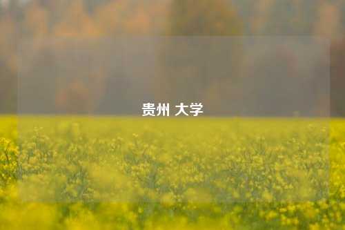 贵州 大学
