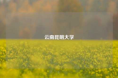 云南昆明大学